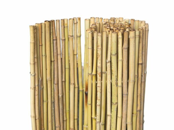 bamboerol natuur